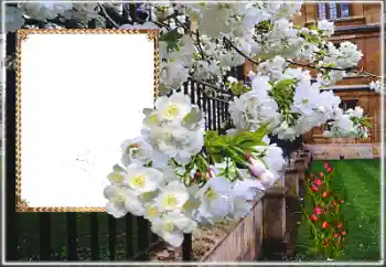 Photo effect from category Women's photo frames № 169025