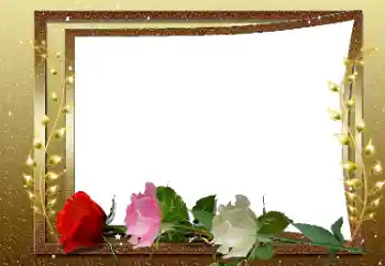 Photo effect from category Women's photo frames № 169033