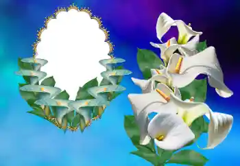 Photo effect from category Women's photo frames № 169156