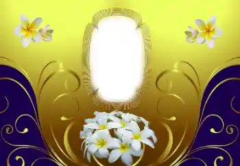 Photo effect from category Women's photo frames № 169210