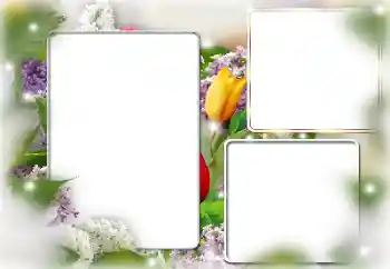 Photo effect from category Women's photo frames № 169224