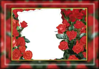 Photo effect from category Women's photo frames № 169274