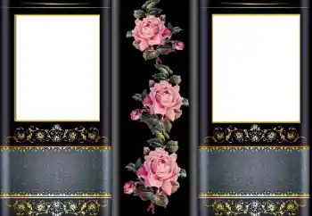 Photo effect from category Women's photo frames № 169323