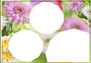 Photo effect from category Women's photo frames № 170418