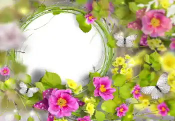 Photo effect from category Women's photo frames № 170446