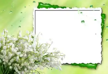 Photo effect from category Women's photo frames № 170480