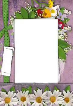 Photo effect from category Women's photo frames № 170521