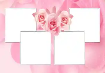 Photo effect from category Women's photo frames № 170544