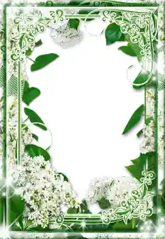 Photo effect from category Women's photo frames № 17130