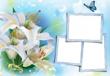 Photo effect from category Women's photo frames № 171813