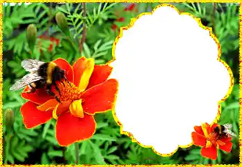 Photo effect from category Women's photo frames № 172931