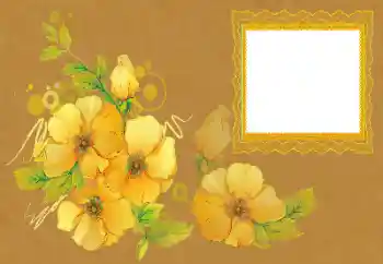 Photo effect from category Women's photo frames № 172996