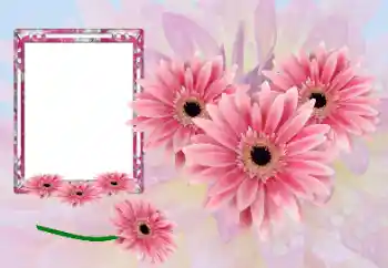 Photo effect from category Women's photo frames № 173021