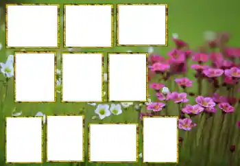 Photo effect from category Women's photo frames № 174173