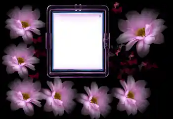 Photo effect from category Women's photo frames № 175502