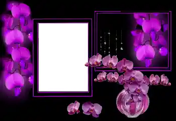 Photo effect from category Women's photo frames № 175544 Photo effect from category Women's photo frames № 175544