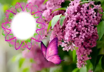 Photo effect from category Women's photo frames № 176770 Photo effect from category Women's photo frames № 176770