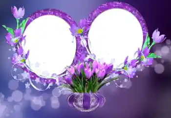 Photo effect from category Women's photo frames № 176777 Photo effect from category Women's photo frames № 176777