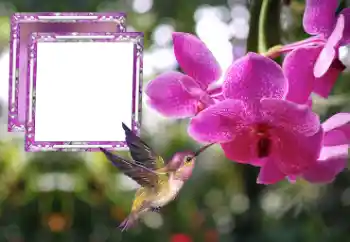 Photo effect from category Women's photo frames № 176778 Photo effect from category Women's photo frames № 176778