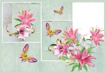 Photo effect from category Women's photo frames № 176820 Photo effect from category Women's photo frames № 176820