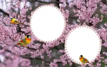 Photo effect from category Women's photo frames № 177884 Photo effect from category Women's photo frames № 177884