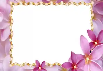 Photo effect from category Women's photo frames № 177920 Photo effect from category Women's photo frames № 177920