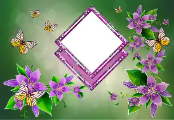 Photo effect from category Women's photo frames № 178292 Photo effect from category Women's photo frames № 178292