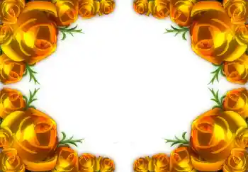 Photo effect from category Women's photo frames № 1782 Photo effect from category Women's photo frames № 1782