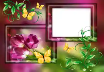 Photo effect from category Women's photo frames № 179563 Photo effect from category Women's photo frames № 179563
