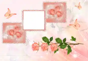 Photo effect from category Women's photo frames № 180707 Photo effect from category Women's photo frames № 180707