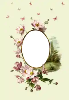 Photo effect from category Women's photo frames № 180747 Photo effect from category Women's photo frames № 180747