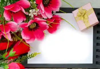 Photo effect from category Women's photo frames № 180815 Photo effect from category Women's photo frames № 180815