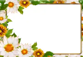 Photo effect from category Women's photo frames № 180831 Photo effect from category Women's photo frames № 180831