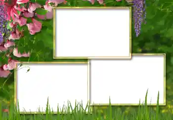 Photo effect from category Women's photo frames № 180850 Photo effect from category Women's photo frames № 180850