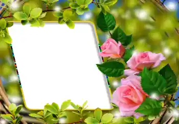 Photo effect from category Women's photo frames № 180860 Photo effect from category Women's photo frames № 180860