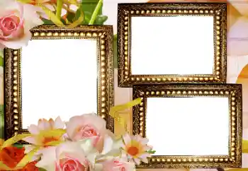 Photo effect from category Women's photo frames № 180905 Photo effect from category Women's photo frames № 180905