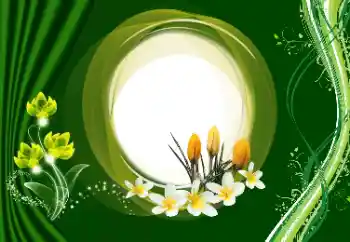 Photo effect from category Women's photo frames № 180910 Photo effect from category Women's photo frames № 180910