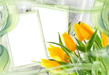 Photo effect from category Women's photo frames № 181968 Photo effect from category Women's photo frames № 181968