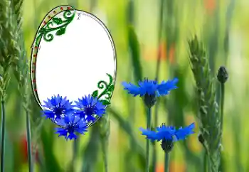 Photo effect from category Women's photo frames № 181991 Photo effect from category Women's photo frames № 181991