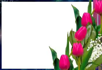 Photo effect from category Women's photo frames № 182017 Photo effect from category Women's photo frames № 182017
