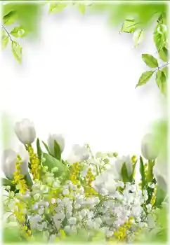 Photo effect from category Women's photo frames № 182024 Photo effect from category Women's photo frames № 182024