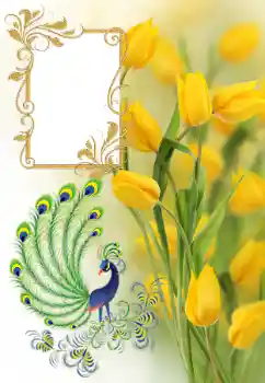 Photo effect from category Women's photo frames № 182161