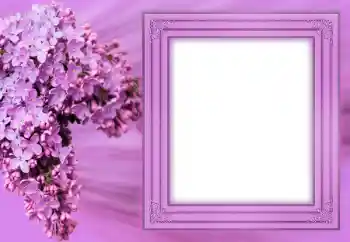 Photo effect from category Women's photo frames № 183304