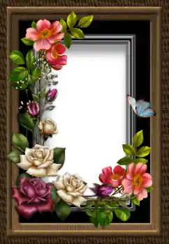 Photo effect from category Women's photo frames № 183484