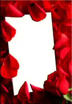 Photo effect from category Women's photo frames № 1843 Photo effect from category Women's photo frames № 1843