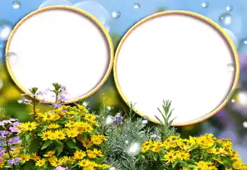 Photo effect from category Women's photo frames № 184588