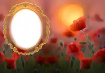 Photo effect from category Women's photo frames № 185852