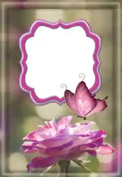 Photo effect from category Women's photo frames № 187032