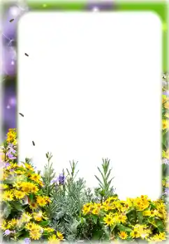 Photo effect from category Women's photo frames № 187069