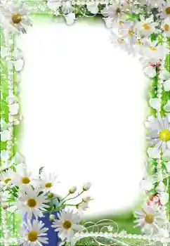 Photo effect from category Women's photo frames № 188140